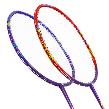 红双喜（DHS）羽毛球拍可水洗四星双拍细手柄含尼龙球手胶拍包E-S43/S46随机发