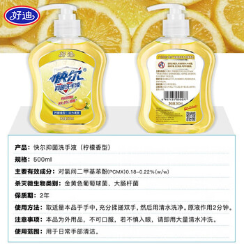 好迪抑菌洗手液柠檬香型健康99.9%泡沫丰富清爽易冲洗护手500ml*2瓶 好迪抑菌洗手液柠檬香型健康99.9%泡沫丰富清爽易冲洗护手500ml*2瓶