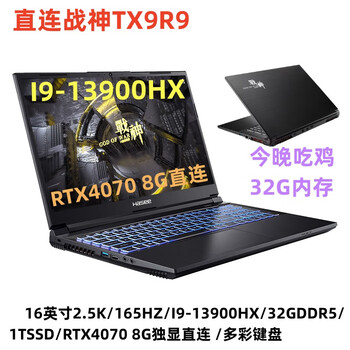 神舟（HASEE） 独显直联TX9R9\G8R9/TX8/T7/T8/RTX4070游戏本电脑 直连TX9R9/I9-13900HX/4070 ...