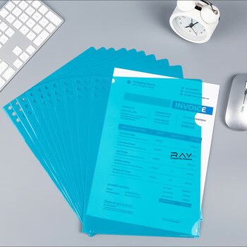 齐心（COMIX）10只A4L型文件套 文件夹透明单片夹 票据收纳 加厚二页式文件夹文件快递袋E3310 RAY 橙