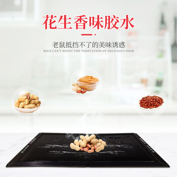 黑猫神 粘鼠板10片装 老鼠贴老鼠药老鼠板驱鼠捕鼠神器老鼠夹胶耗子药