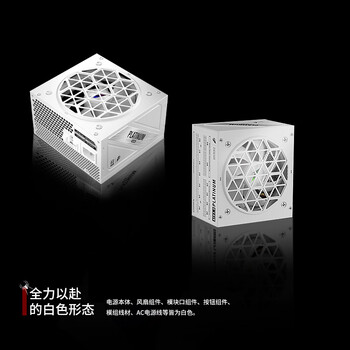 首席玩家（1st player）NGDP铂金 1000W ATX3.1电源（ATX3.0&3.1双规范/MES ID/压纹线/FDB风扇/支持5090/白色）