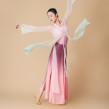 古典舞服装古典舞蹈服装女飘逸仙气上衣演出服中国舞身