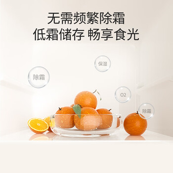 康佳183升小冰箱小型家用出租房办公室宿舍双开门两门双门二门电冰箱节能省电低音白色BCD-183GB2SU