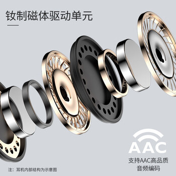 飞利浦（PHILIPS）真无线降噪蓝牙耳机T5506 主动降噪无线运动耳机 适用苹果华为手机 白 