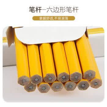 施德楼（STAEDTLER）HB铅笔 经典六角木杆小学生考试涂卡一二年级美术素描绘图笔礼物开学必备用品12支/盒133-HB