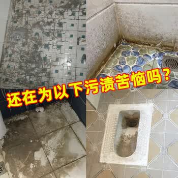 盾王瓷砖清洁剂500ml 去黄去污浴室家用清洗剂 厕所地砖地板强力除垢