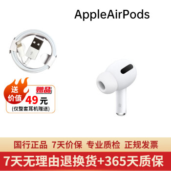 AirPods Pro - 京东