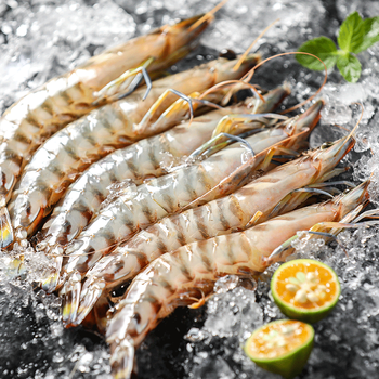 京诗悦竹节虾新鲜九节虾鲜活冷冻斑节虾超大虾速冻基围虾海鲜水产
