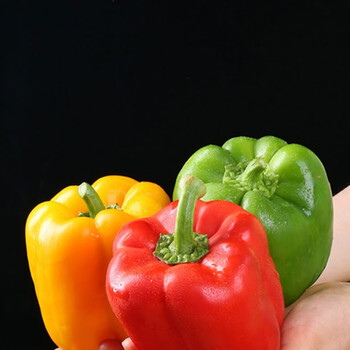 彩椒新鲜蔬菜灯笼椒甜椒绿色圆椒彩色菜椒现摘大青椒农家种植 青圆椒