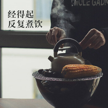 熙溪 福鼎白茶 2020年原料寿眉100g 紧压茶小茶饼
