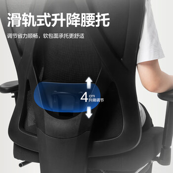 得力（deli）KF221-J人体工学椅  升降扶手办公电脑椅 合金脚带脚托 臻享版
