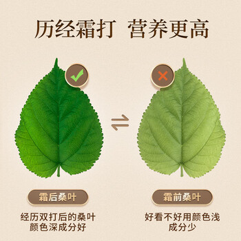 同仁堂（TRT）桑叶茶炒制桑葚叶秋后霜打桑叶120g/罐