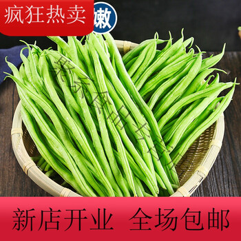 云南新鲜无筋豆9斤当季现摘芸豆四季豆扁青豆角农家自种蔬菜2斤