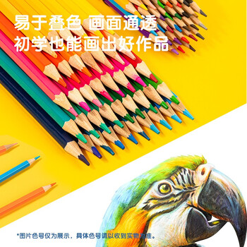 得力（deli）48色油性彩铅纸桶装学生绘画艺术写生彩色铅笔儿童涂色填色彩笔绘画笔彩笔