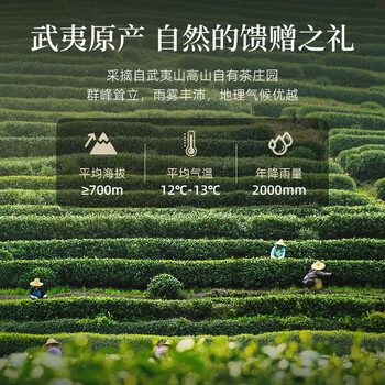 华祥苑迎宾茶 大红袍茶叶特级武夷岩茶礼盒250g送礼礼品
