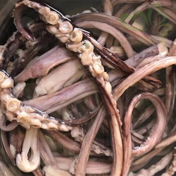 尤鱼须海鲜干货 淡干鱿鱼须福建特产半淡干鱿鱼须整条长须不带头 5o1
