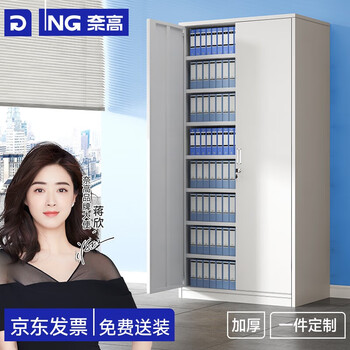 奈高文件柜铁皮柜财务凭证柜资料档案柜办公柜带锁储物收纳办公室柜子