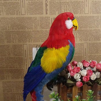 仿真动物标本鸟摆件假鸟装饰品橱窗道具静态模型教学模型家居装饰彩