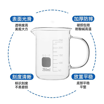 六鑫 带柄烧杯250ml 刻度玻璃杯 科学实验器材 实验室教具 开学必备 初中小学生实验量杯