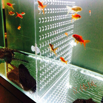 鲲煊定制水族鱼缸隔离板亚克力微孔罗汉鱼苗盖板挡板隔网定制商品请联系客服报价呢 图片价格品牌报价 京东