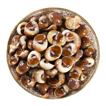 只只红猫眼螺鲜活速冻大沙螺红香螺玉螺海鲜贝类海螺 3斤【图片 价格