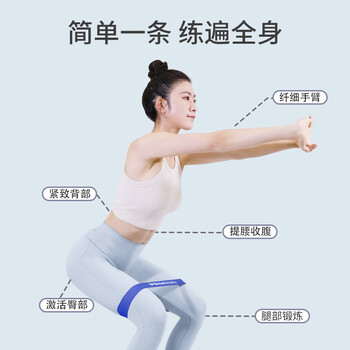 PROIRON普力艾 弹力带 阻力带瑜伽带拉力带训练 10磅-50磅5条12件套装