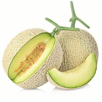 北小城海南网纹瓜普通装