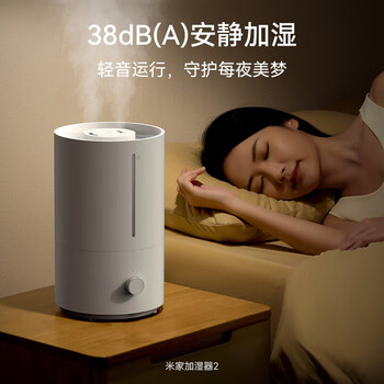 小米加湿器2 卧室家用办公室桌面 迷你低噪空气加湿 银离子材料 上加水 4L大容量MJJSQ06DY