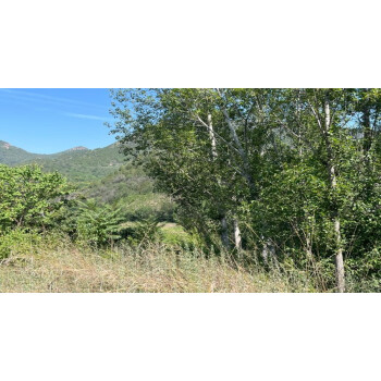 北京市密云区太师屯镇令公村山场出租