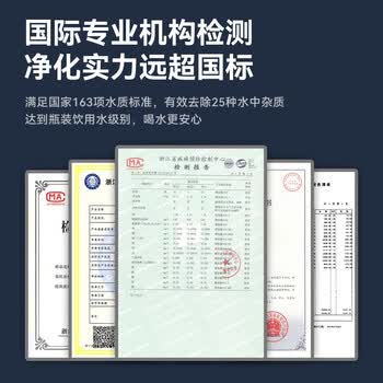 德克西德国净水器家用厨房自来水前置过滤器超滤净水机不锈钢净化器水龙头