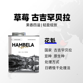 A SOUL ROOT埃塞俄比亚花魁咖啡豆罐装手冲单品中度烘焙200g