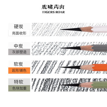 空色炭笔素描铅笔软炭美术生专用笔黑硬炭笔速写绘画工具初学者学生套装碳素画笔10支/盒美术写生