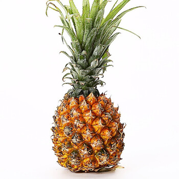 食九月云南香水小菠萝京东新鲜水果赠送去菠萝眼工具5斤装净重45斤