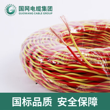 国网电线（Gowung）黄绿色RVS国标2芯0.75平方花线软铜双绞线