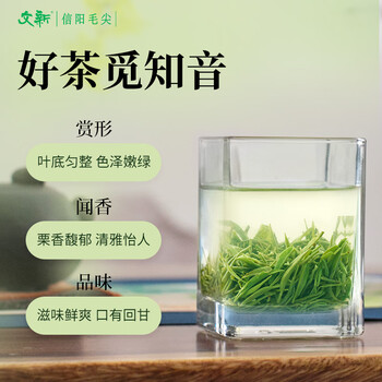 文新绿茶2026新茶预售文新茶村信阳毛尖特级100g明前礼盒茶源头直发