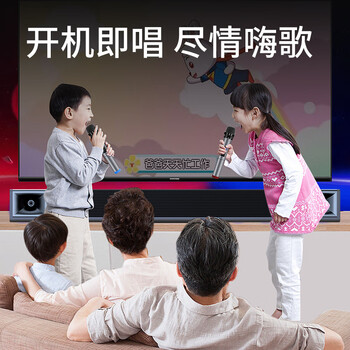 纽曼（Newmine）回音壁音响电视音响 家庭影院K歌音响 家用客厅 音箱 壁挂音响 条形音箱 双麦版