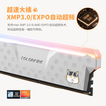 COLORFIRE 32GB(16Gx2)DDR5 6000 台式机内存条 MEOW系列 RGB灯条