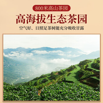 传奇会乌龙茶 安溪铁观音 清香型特级336g茶叶礼盒装自己喝送礼