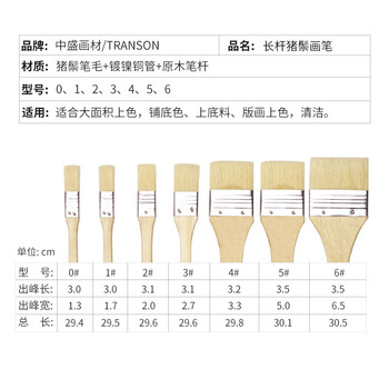 中盛画材 2#水粉油画丙烯颜料水彩画笔套装笔刷猪鬃手绘画墙绘板刷排刷底纹美术彩绘色彩全套排笔单支刷子美术写生