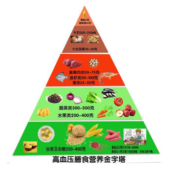 仿真食品中國居民平衡膳食寶塔仿真營養食物交換份模型膳食寶塔醫院