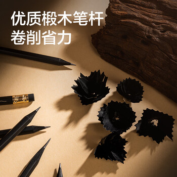 纽赛（NUSIGN）日耀金山轻奢六角杆皮头铅笔 绘画考试美术生素描礼物 10支NS729-2B【热门商品】得力旗下高端品牌