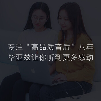 毕亚兹 Type-C转双莲花2RCA转换线转换器 1.5米 一分二音频线 手机平板电脑连接音响 Y31