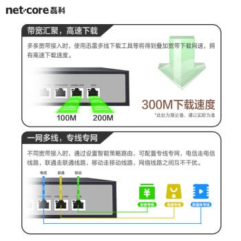 磊科（netcore）NBR200全千兆企业路由器 多WAN口 VPN虚拟专网/云端管理/AC管理/带宽叠加/带机量200