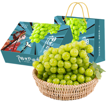晴王阳光玫瑰葡萄匠心礼盒装 新鲜水果无籽香印青提子 2斤