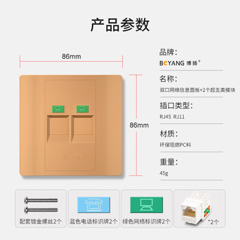 博扬 双口信息面板+2个超五类网络模块 阻燃信息模块插座面板86型套装（金色）BY-8602-D5