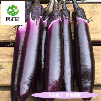 自然之星茄瓜价格报价行情- 京东