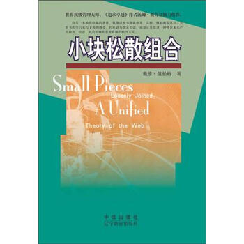 小块松散组合 戴维·温伯格 著