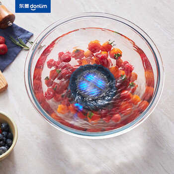 东菱（Donlim）转转果蔬清洗机无线便携涡轮式食材净化机 DL-1326