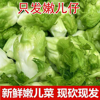 ZXC叶菜类- 京东